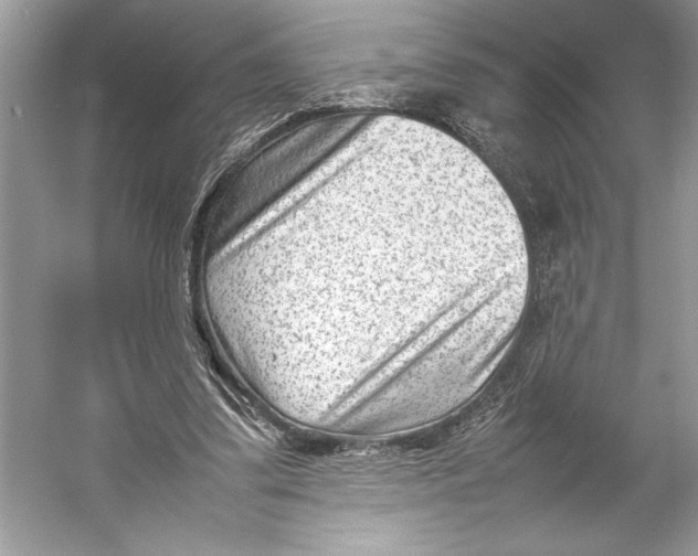 X0000052950299200508050929