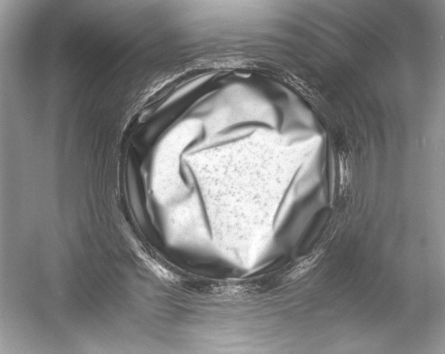 X0000052950301200508050929