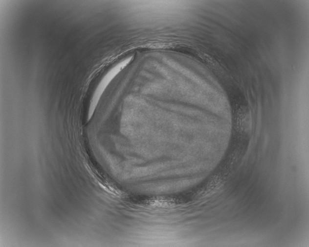 X0000052950303200508050929