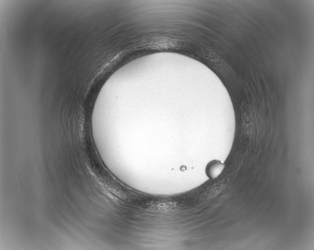 X0000052950304200508050929