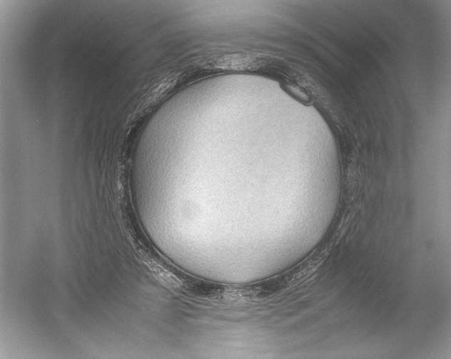 X0000052950305200508050929