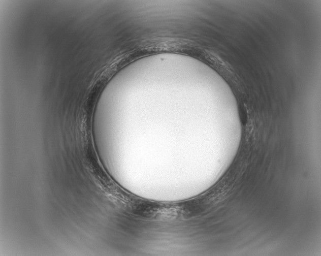 X0000052950306200508050929