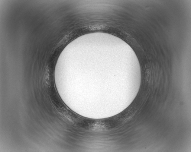 X0000052950308200508050929