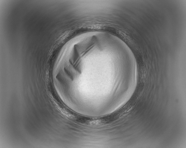 X0000052950309200508050929