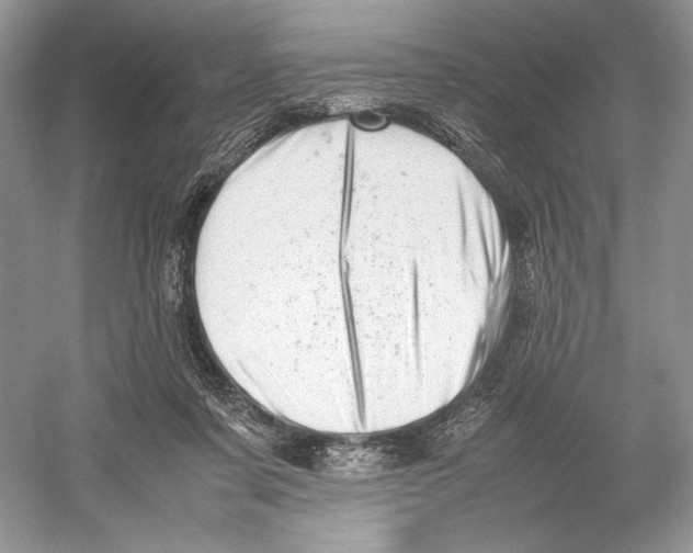 X0000052950311200508050929