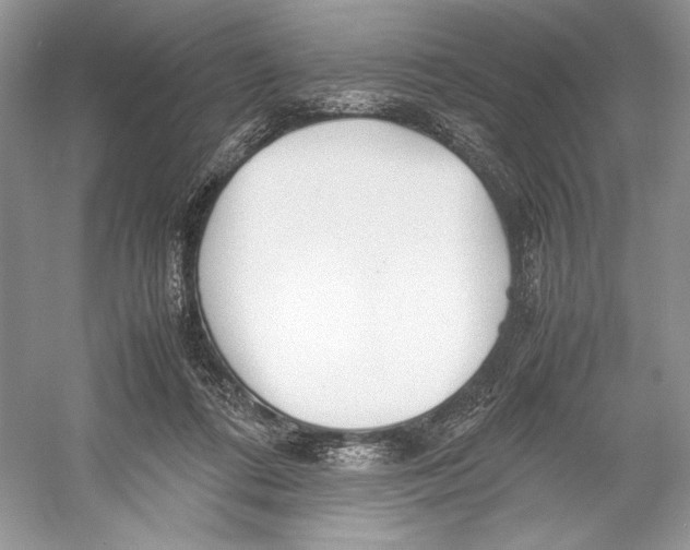 X0000052950312200508050929