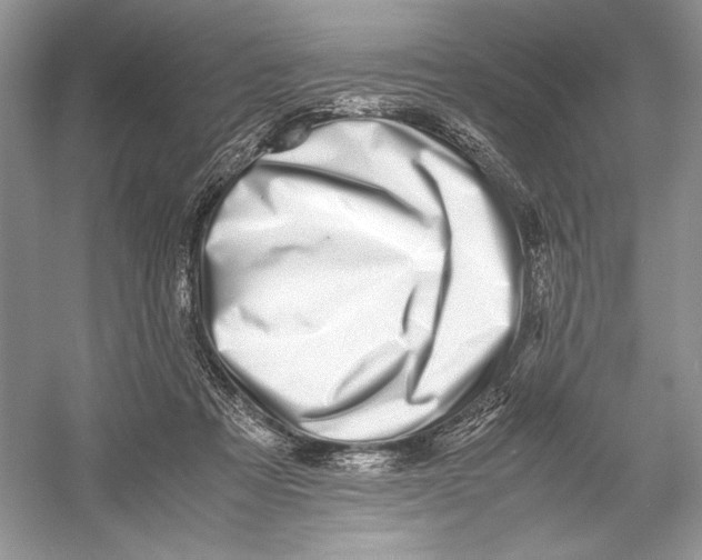 X0000052950313200508050929