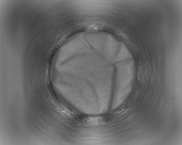 X0000052950314200508050929