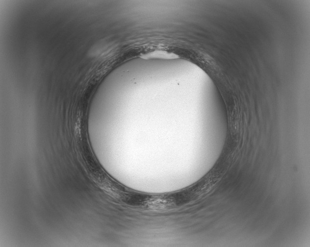 X0000052950315200508050929