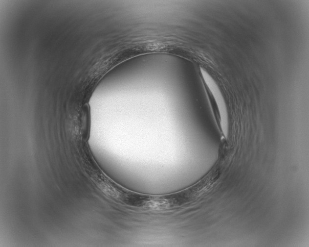 X0000052950317200508050929