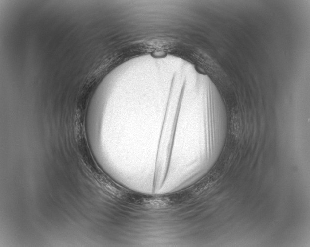 X0000052950318200508050929