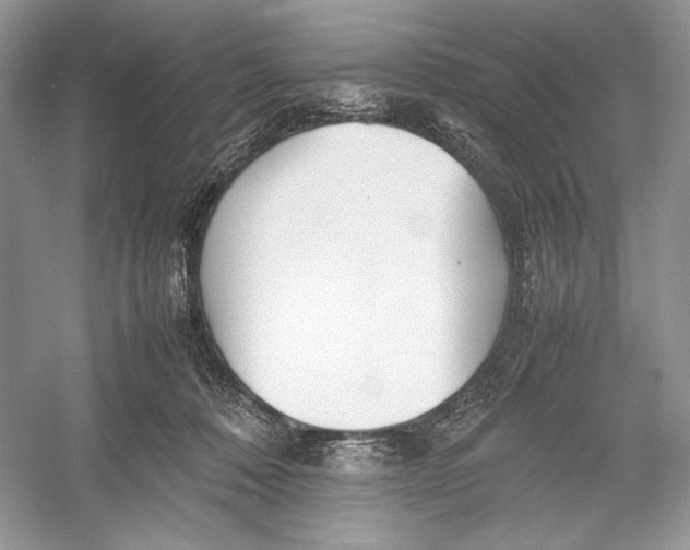 X0000052950320200508050929