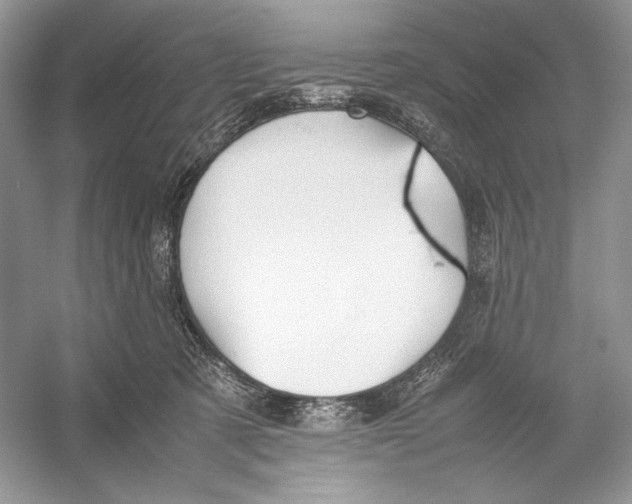 X0000052950321200508050929