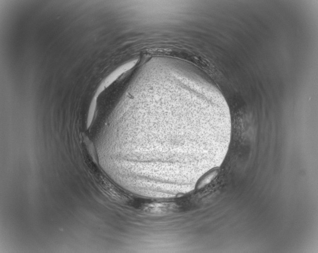 X0000052950323200508050929