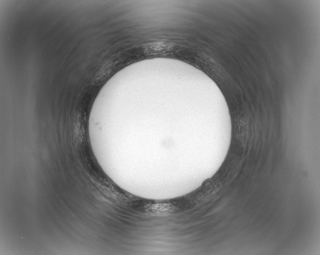 X0000052950324200508050929