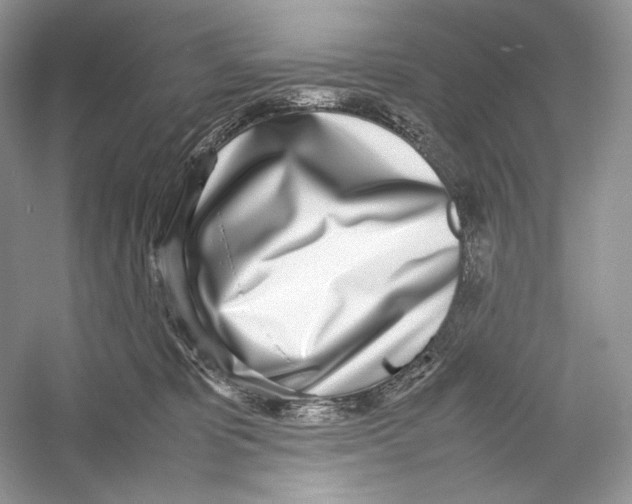 X0000052950325200508050929