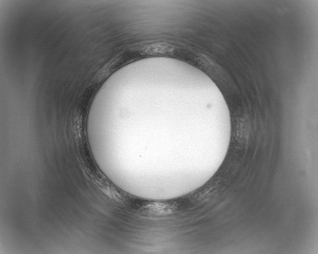 X0000052950326200508050929