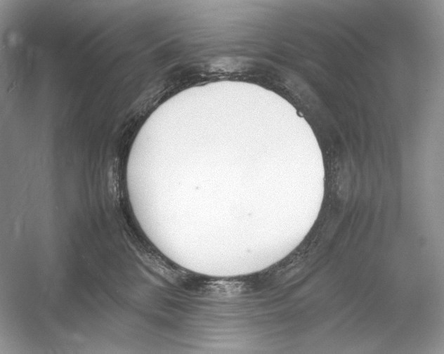 X0000052950328200508050929