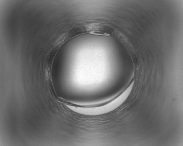 X0000052950329200508050929