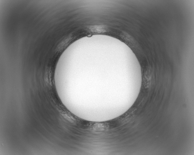 X0000052950330200508050929