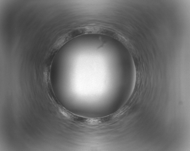 X0000052950333200508050928