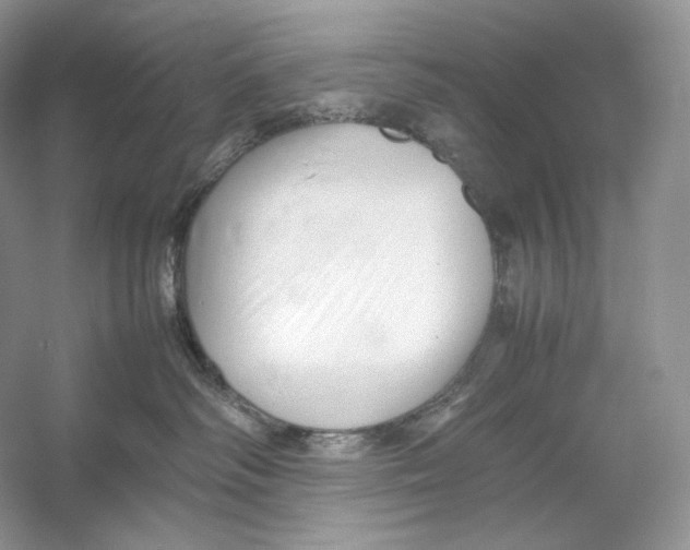 X0000052950334200508050928