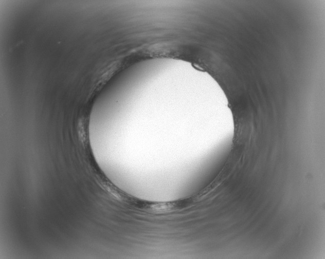 X0000052950335200508050928