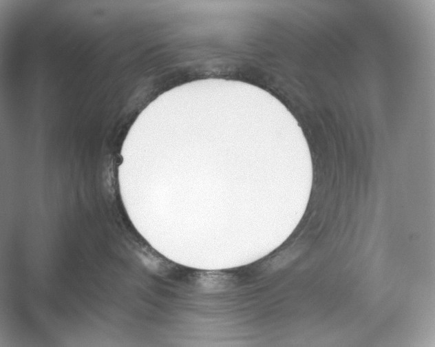 X0000052950336200508050928