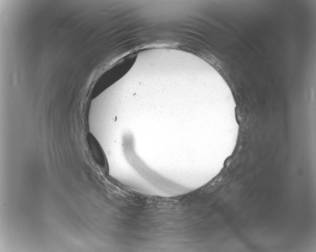 X0000052950337200508050928