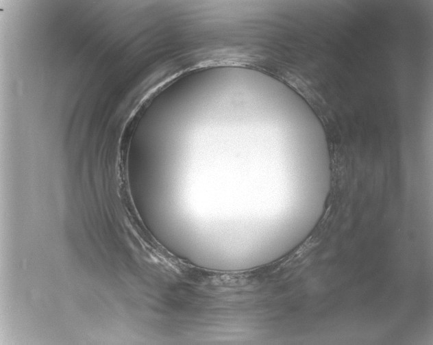 X0000052950338200508050928