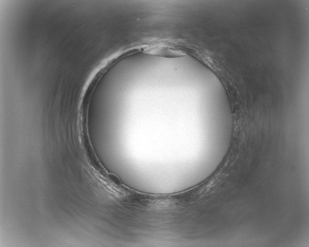 X0000052950342200508050928