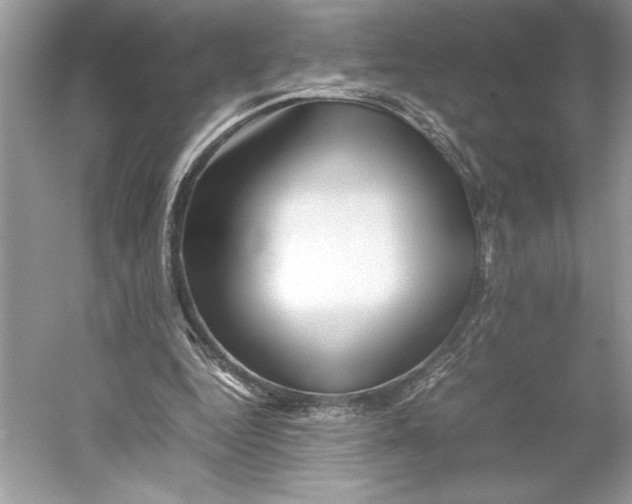 X0000052950344200508050928