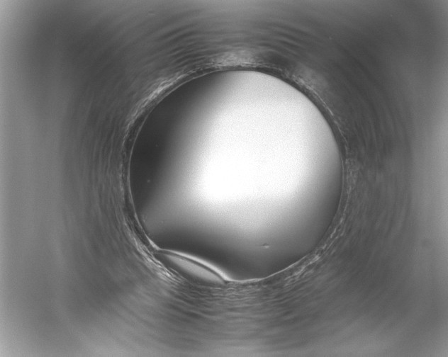 X0000052950345200508050928