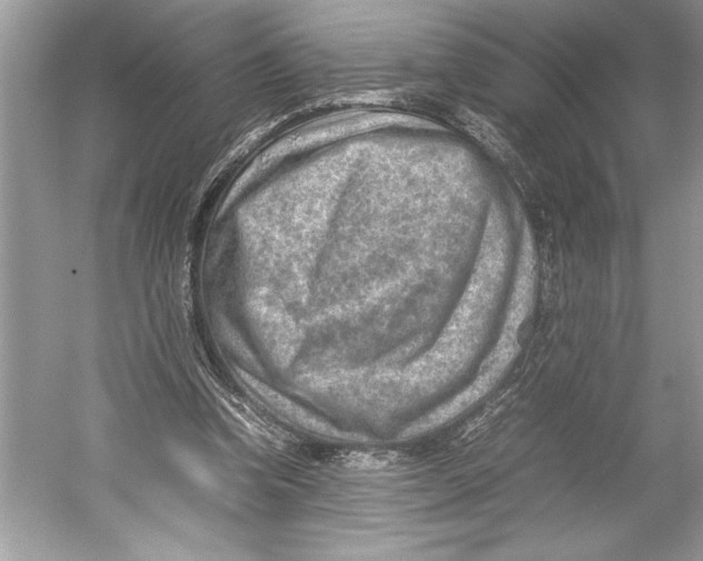 X0000052950346200508050928