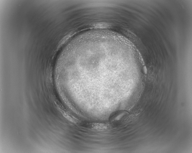 X0000052950347200508050928