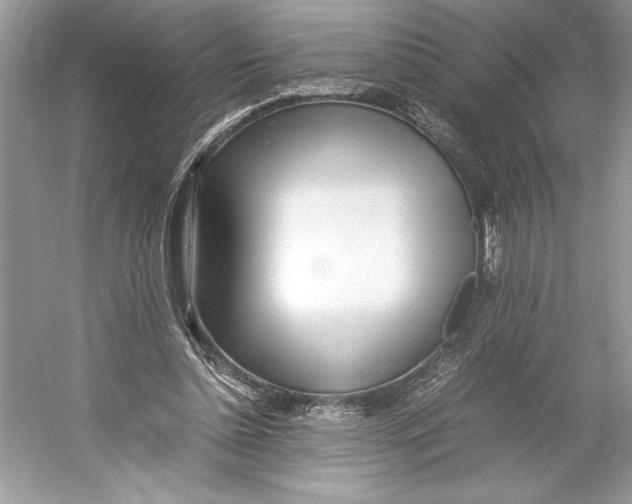 X0000052950348200508050928