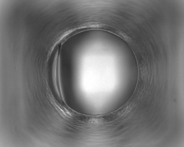 X0000052950350200508050928