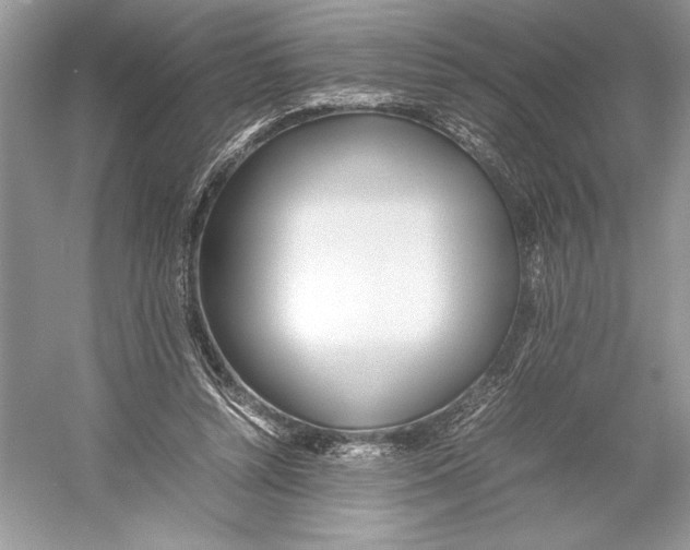 X0000052950352200508050928