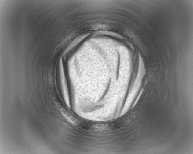 X0000052950353200508050928