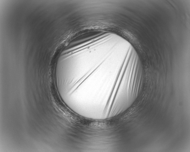 X0000052950354200508050928