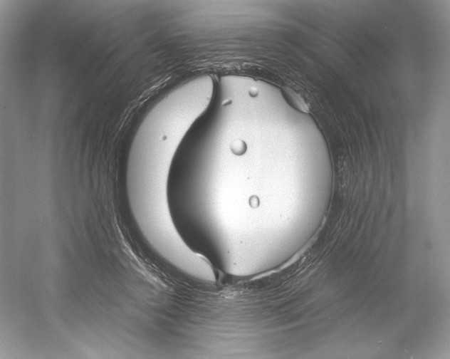 X0000052950356200508050928