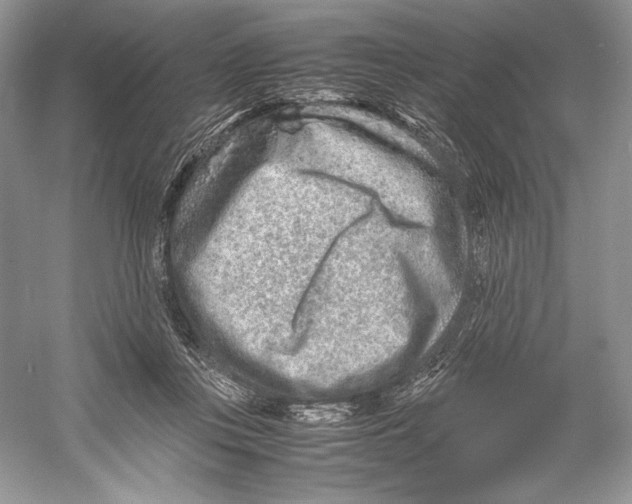 X0000052950359200508050928