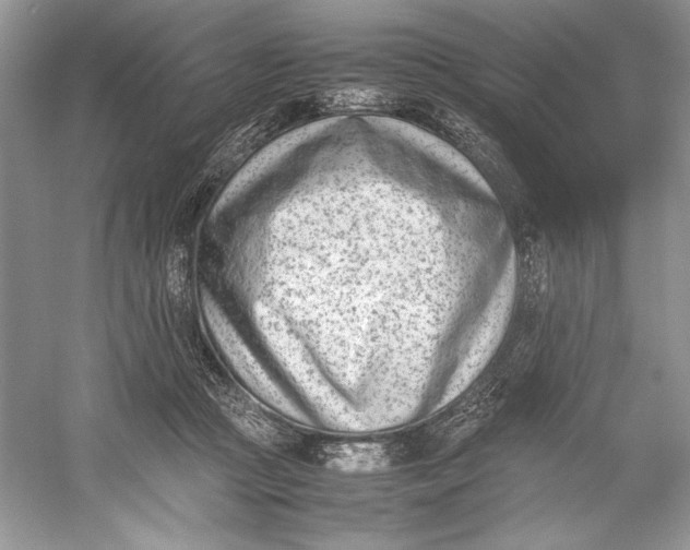 X0000052950361200508050928