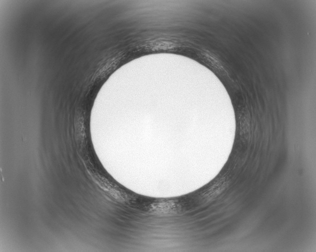 X0000052950362200508050928