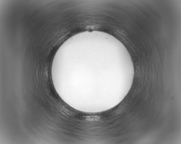 X0000052950363200508050928