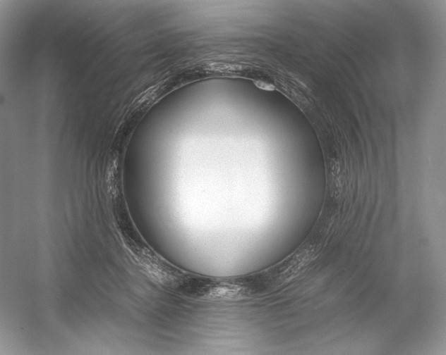 X0000052950364200508050928