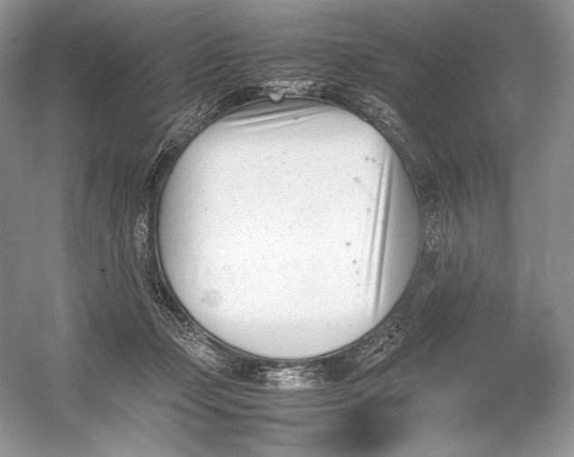 X0000052950365200508050928