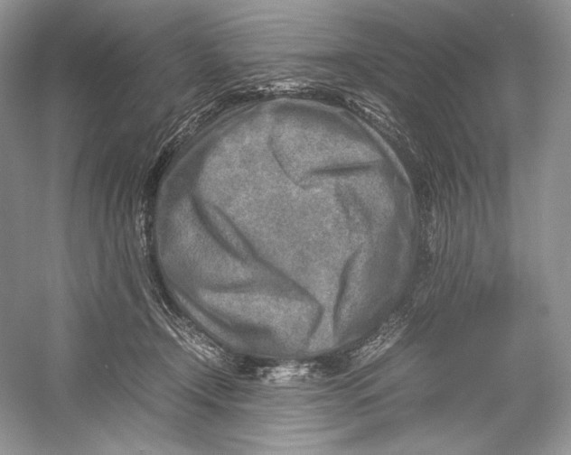 X0000052950366200508050928