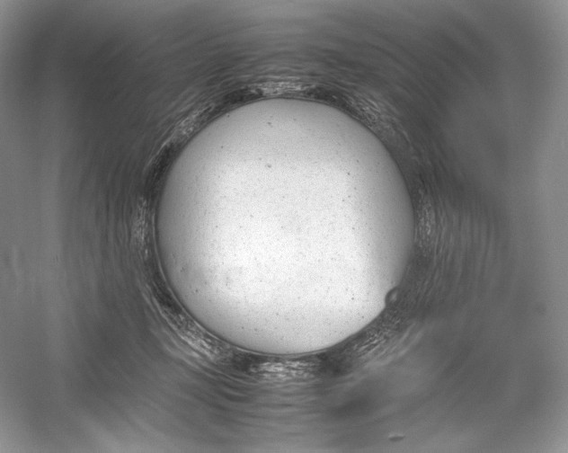 X0000052950367200508050928