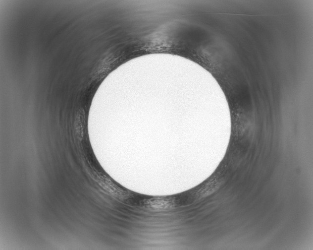 X0000052950370200508050928